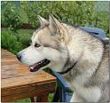 Besuch Nanooq 022